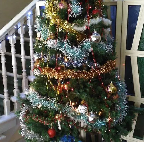 Residencial Marisela Guest house Lisbon